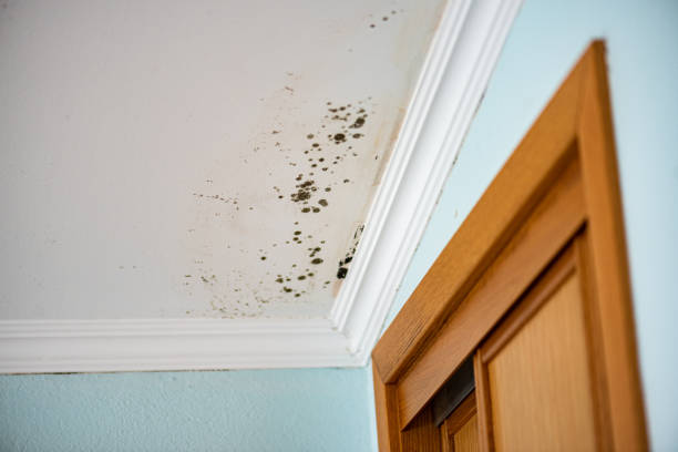 Water Damage Restoration in Chico, CA