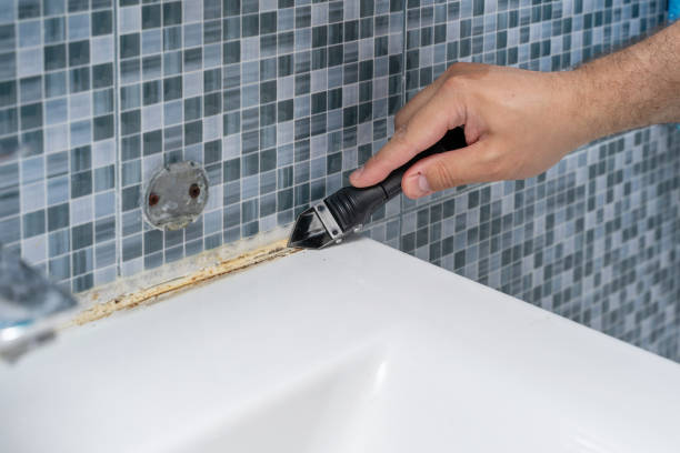 Professional Mold Removal in Chico, CA